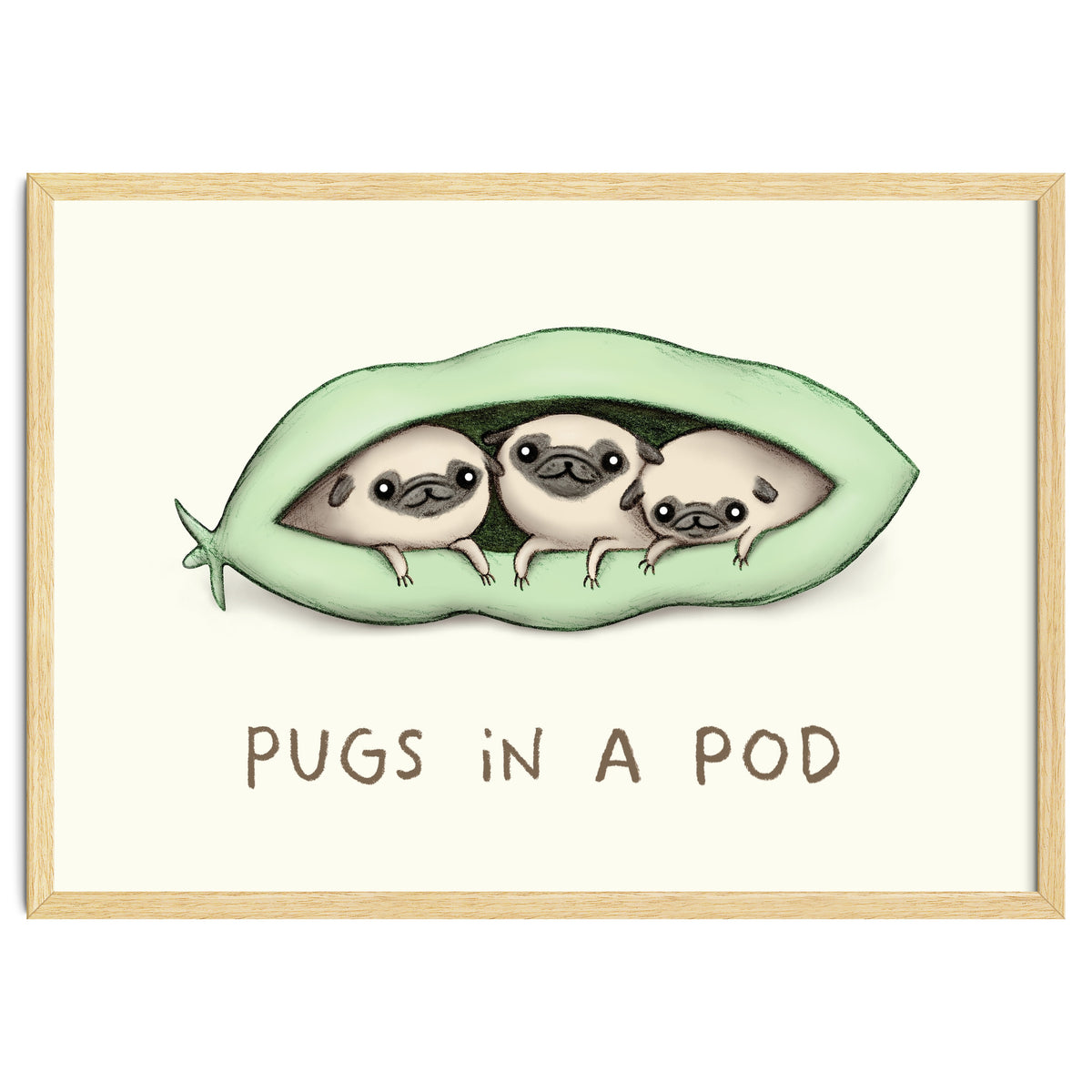 Pugs In A Pod