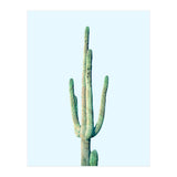 Loner Cactus (Print Only) thumbnail