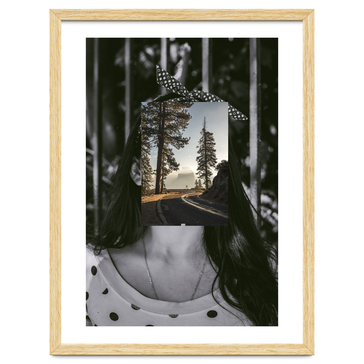 Silva Where Are You?