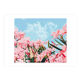 Blush Blossom II (Print Only) thumbnail