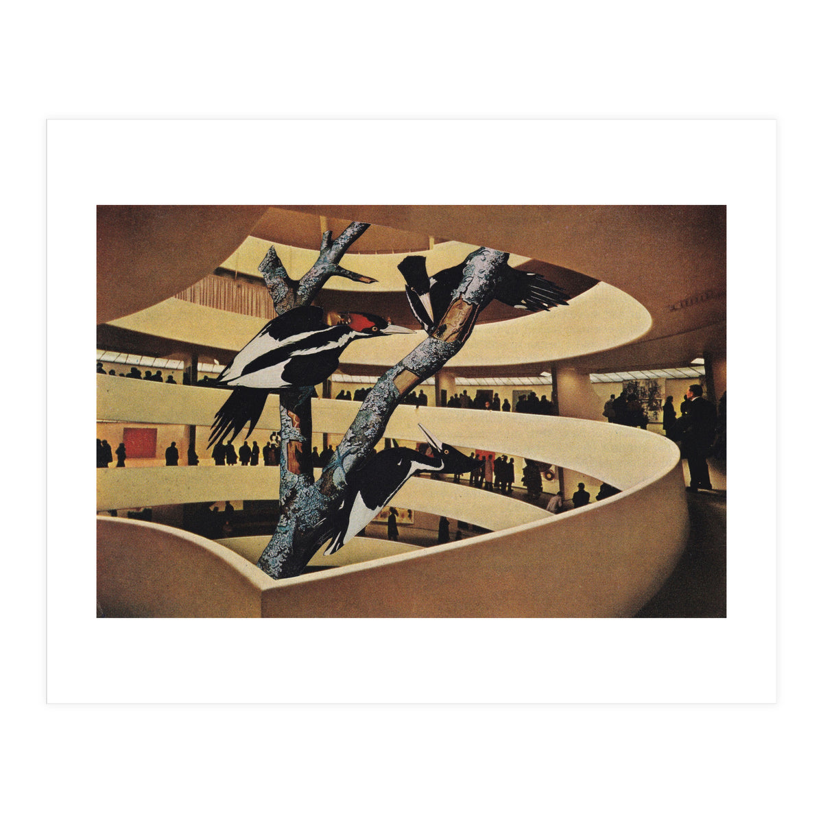 Art Museum (Print Only)