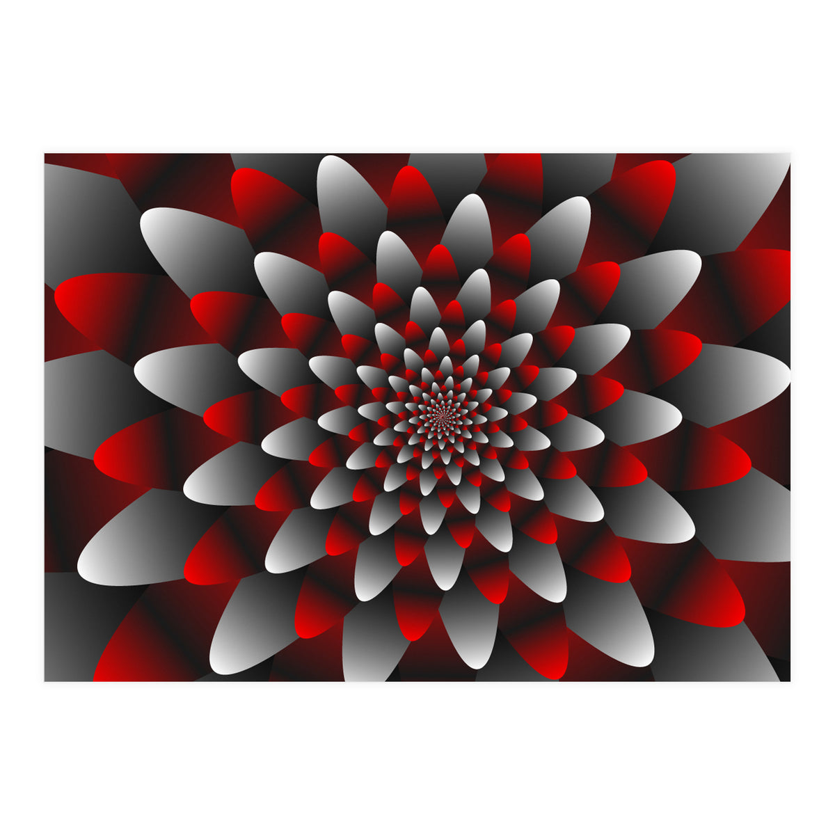 Beautiful Modern Flower Graphics (Print Only)