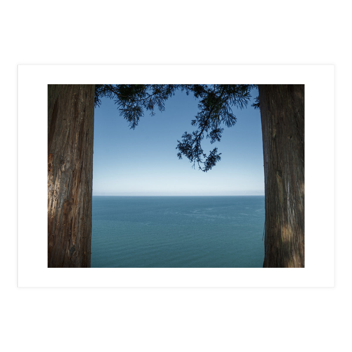 Picture Postcard Perfect (Print Only)