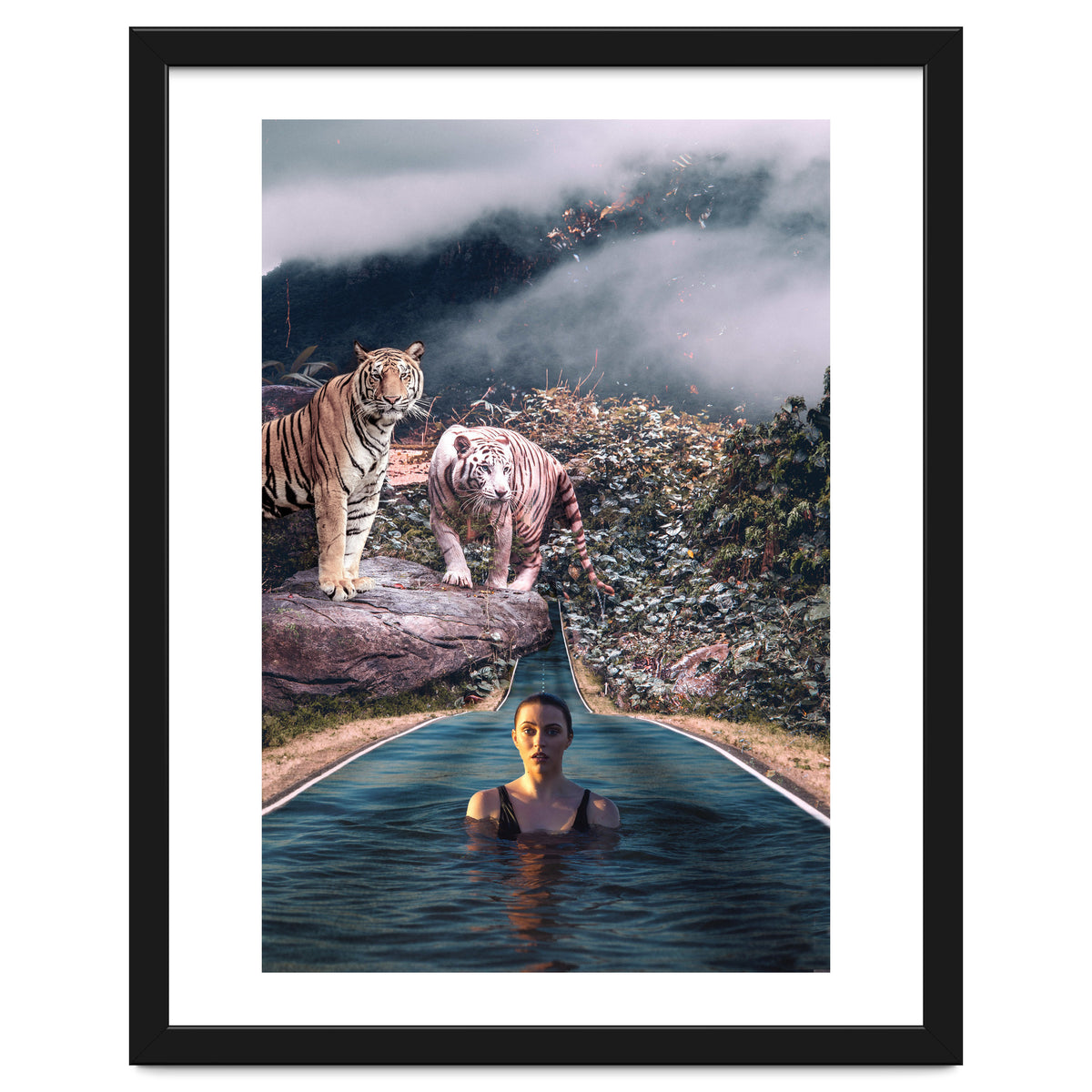 Infinite Pool To Tiger Jungle