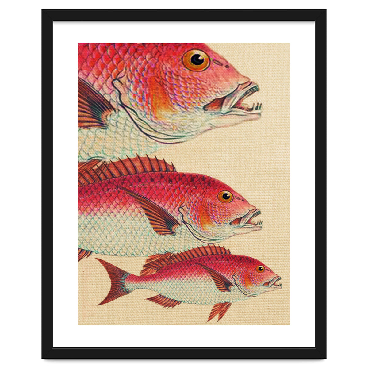 Fish Classic Designs 7