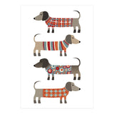 Sausage Dogs In Sweaters (Print Only) thumbnail