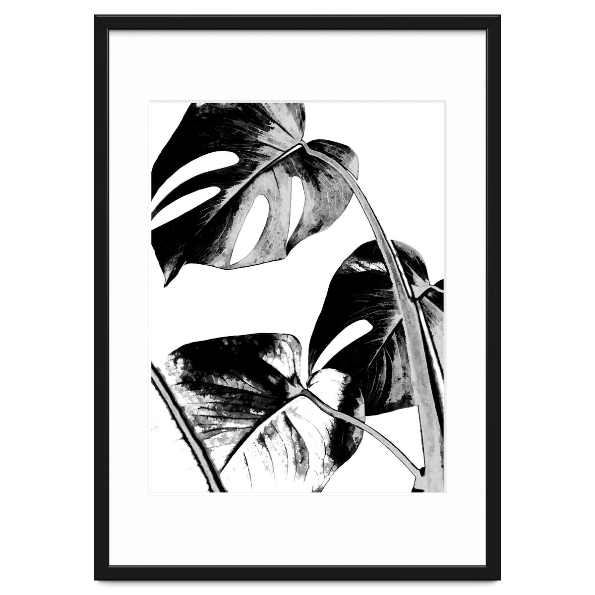 Black Tropical Leaves