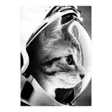 Astrocat (Print Only) thumbnail