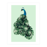 Monstera Bird (Print Only) thumbnail