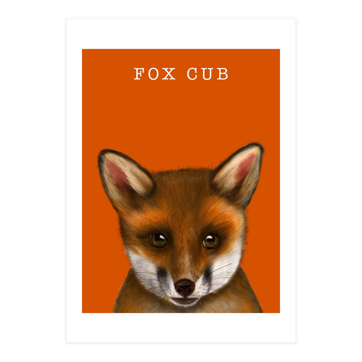 Fox Cub (Print Only)