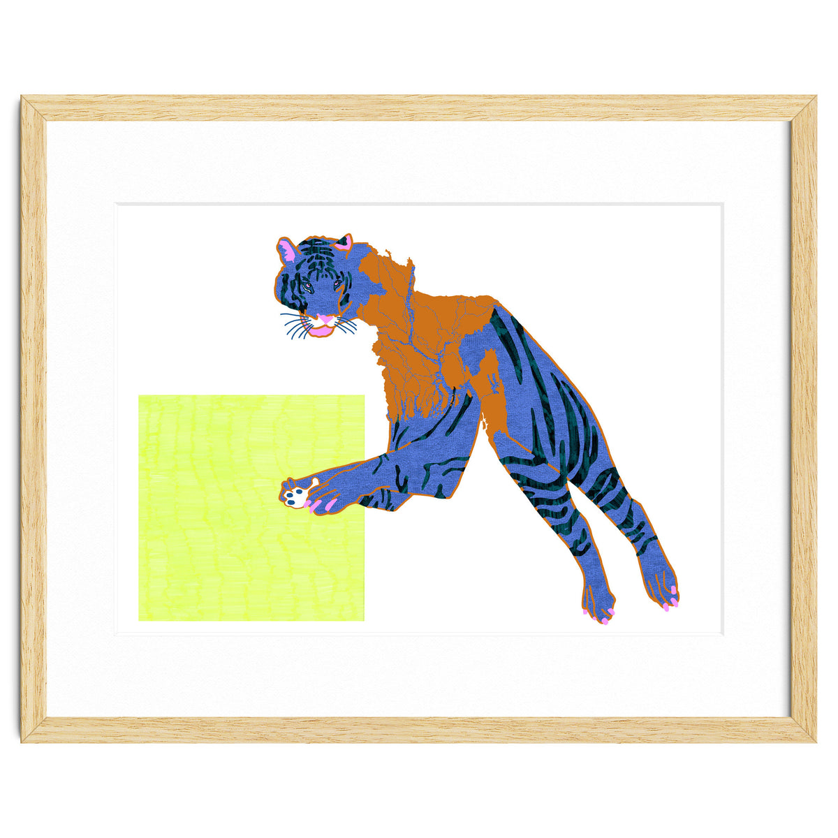 Bangladeshi Bengal Tiger