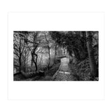 Monochrome path (Print Only) thumbnail