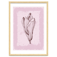 Magnolia Neutral Abstract Botanical