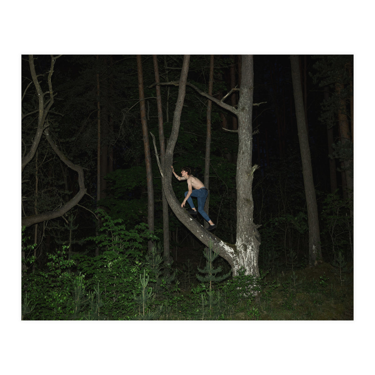 Night Crawler (Print Only)