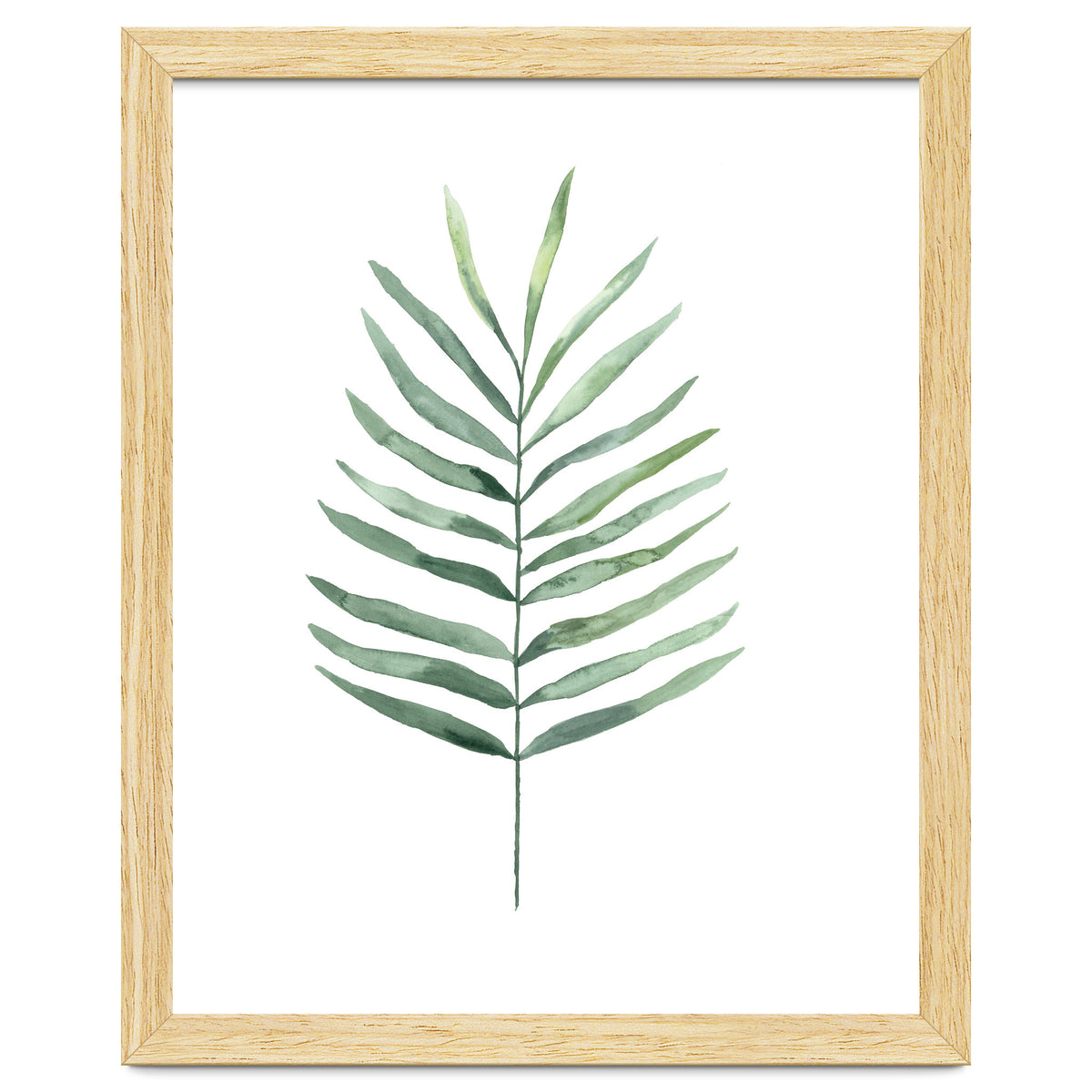 Botanical Illustration Fern