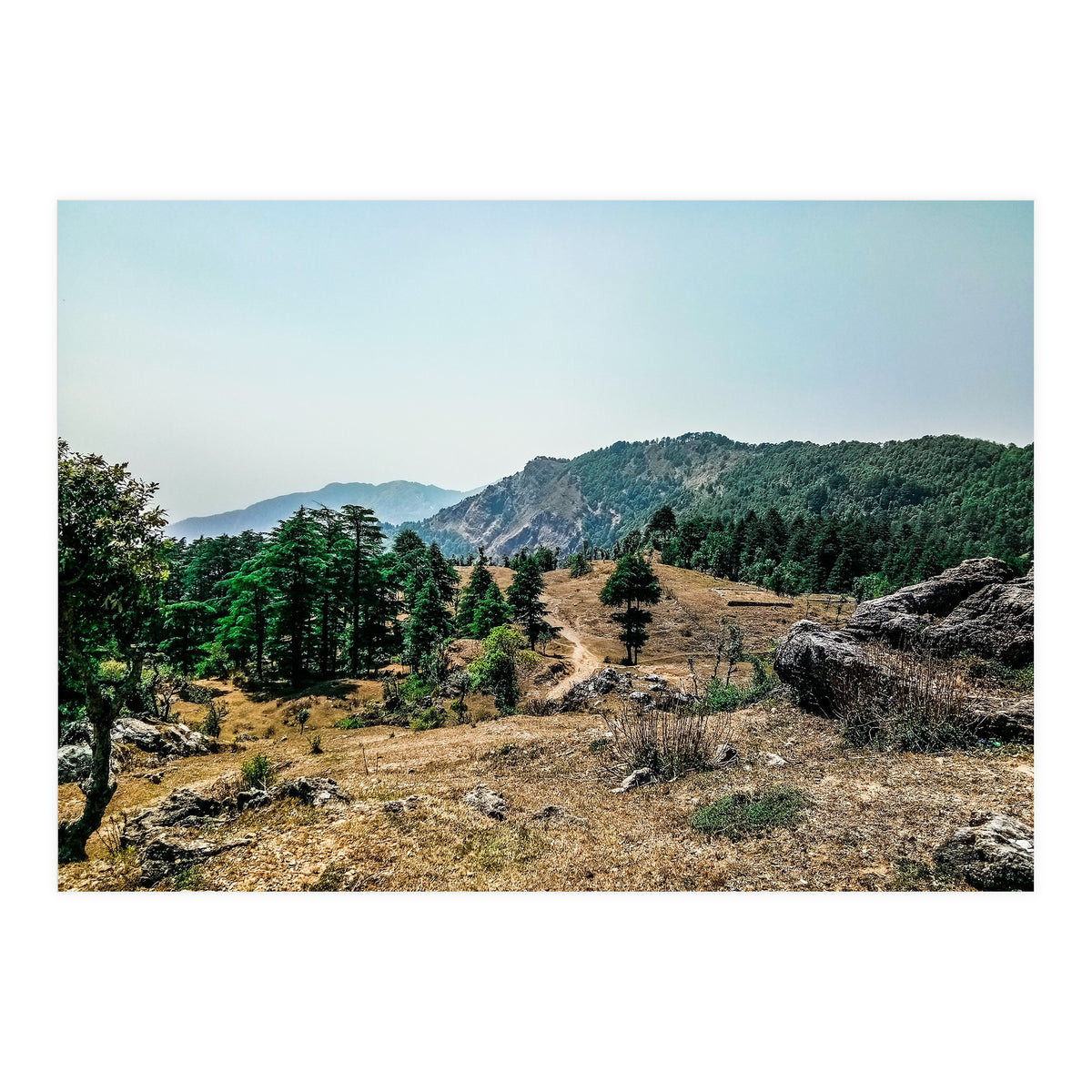 Let's Take A Walk (Print Only)