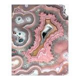 25 (Print Only) thumbnail