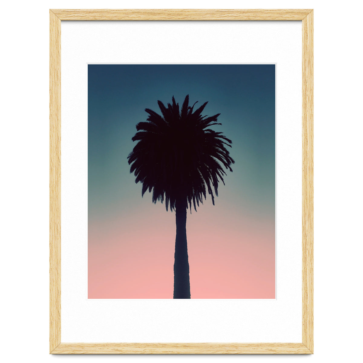Sundown Palm