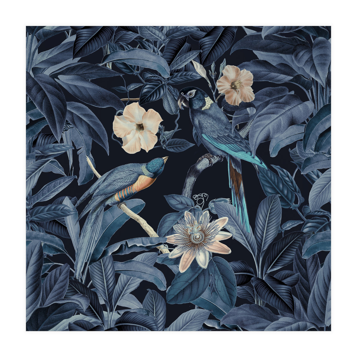 Exotic Jungle Birds At Night (Print Only)