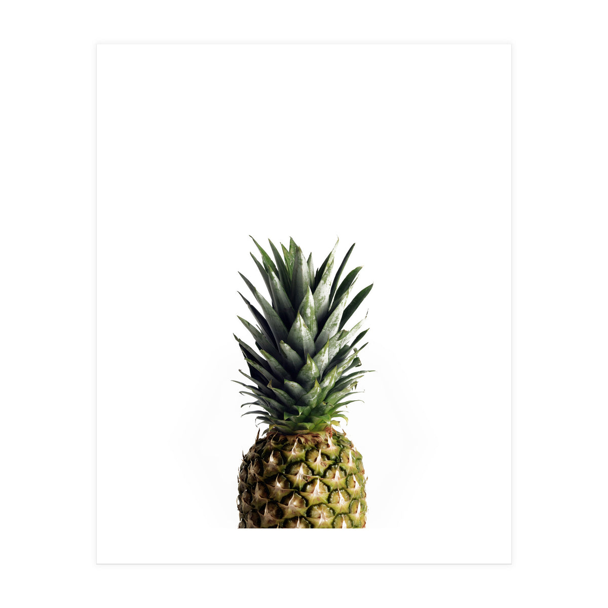 21 (Print Only)