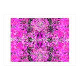 6 (Print Only) thumbnail