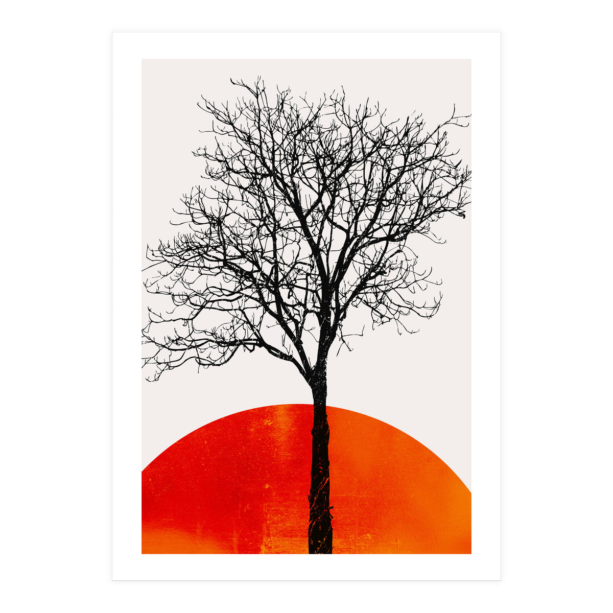 The Birch 3 (Print Only)