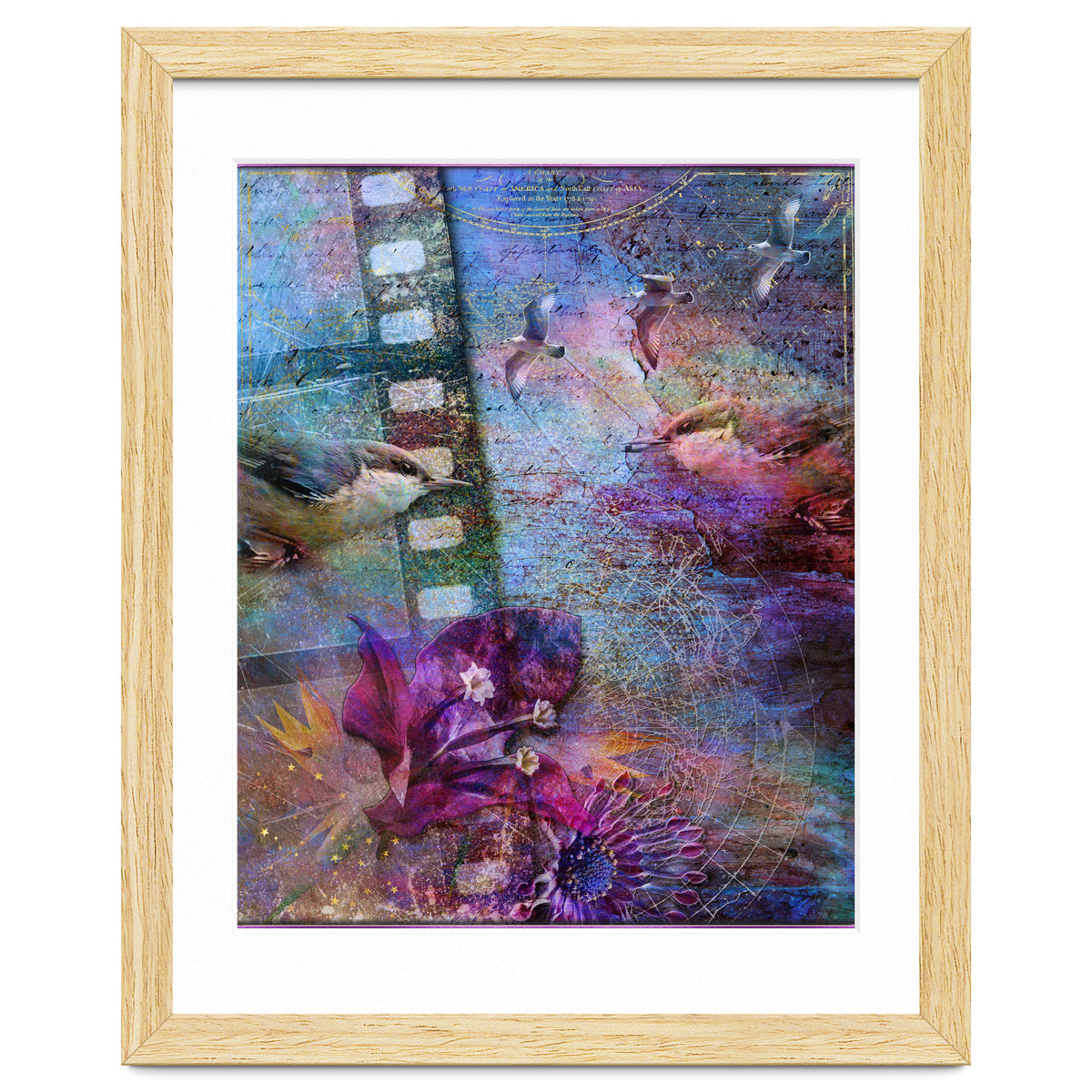 Watching the Wild World