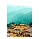 Delight Ii (Print Only) thumbnail