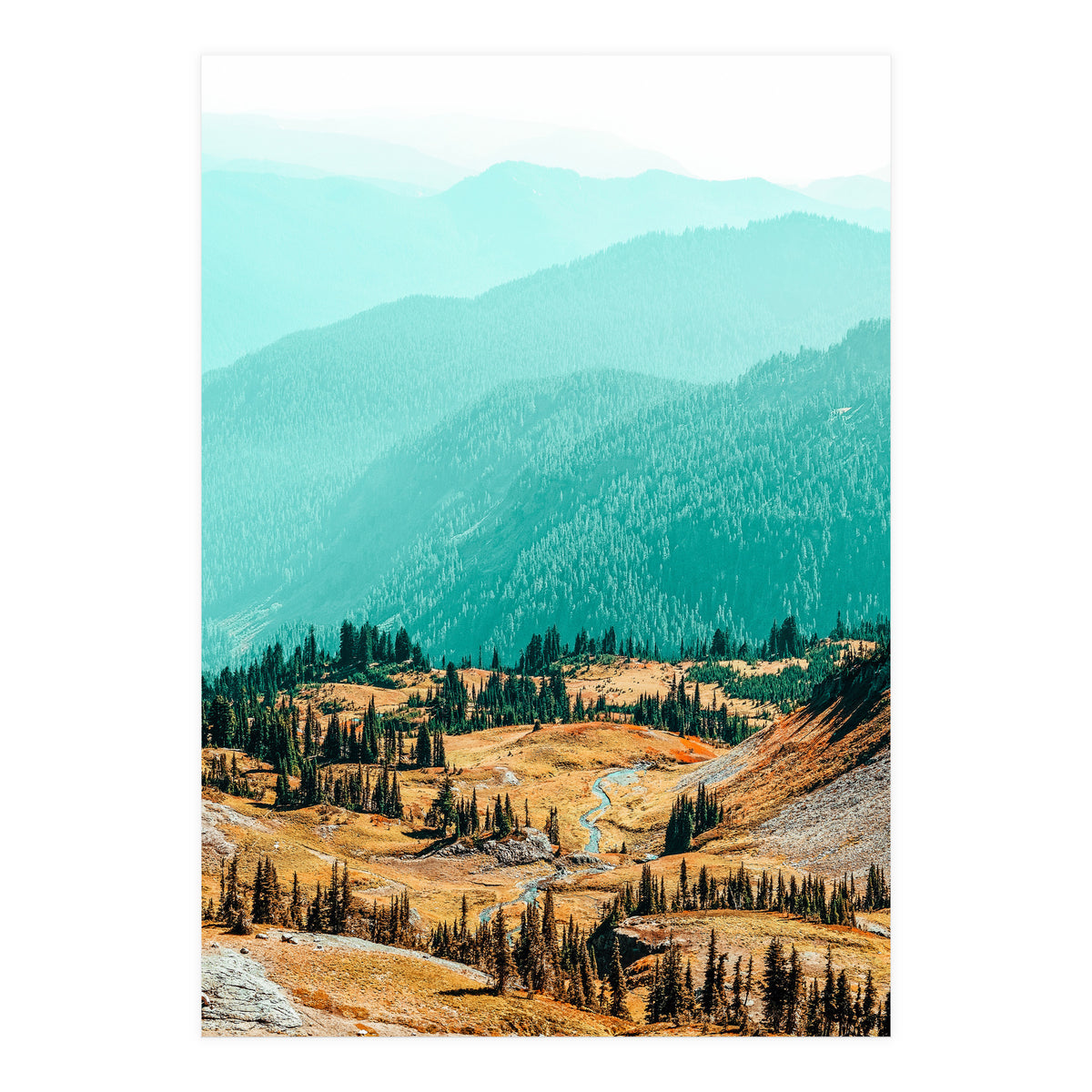 Delight Ii (Print Only)