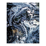 Aryaa (Print Only) thumbnail