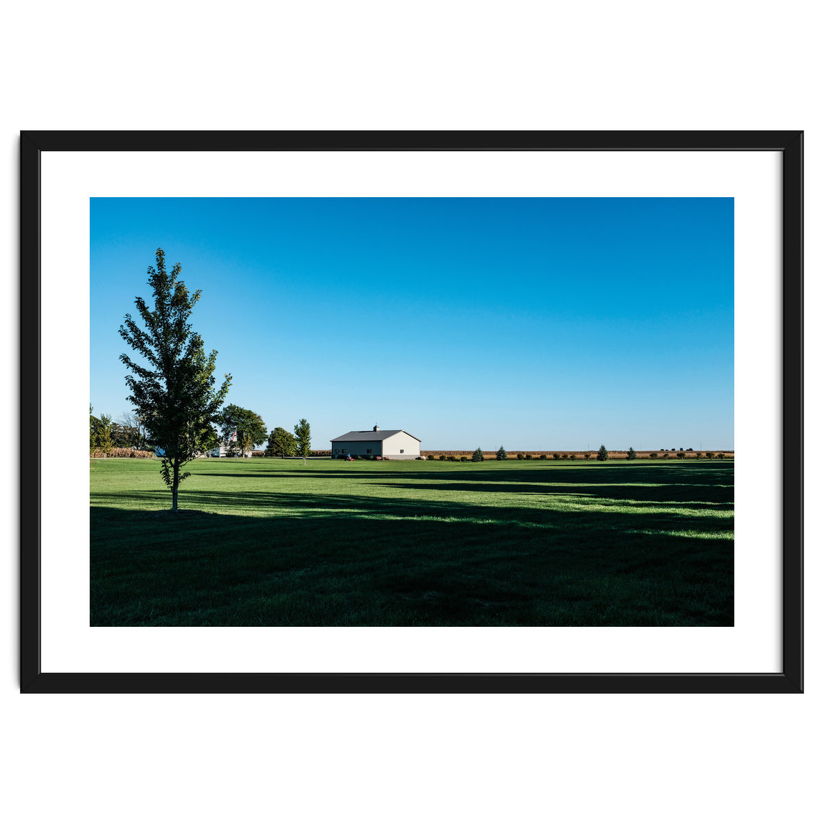 Summer evening, rural Illinois