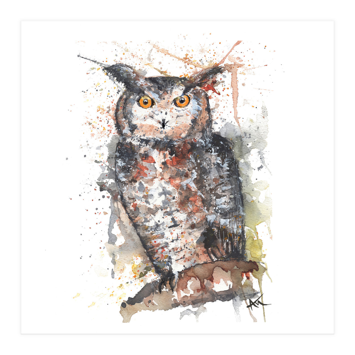 Owl - Wildlife Collection (Print Only)