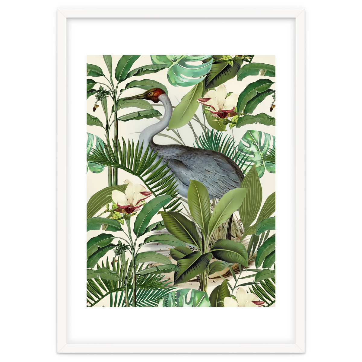 Tropical Heron