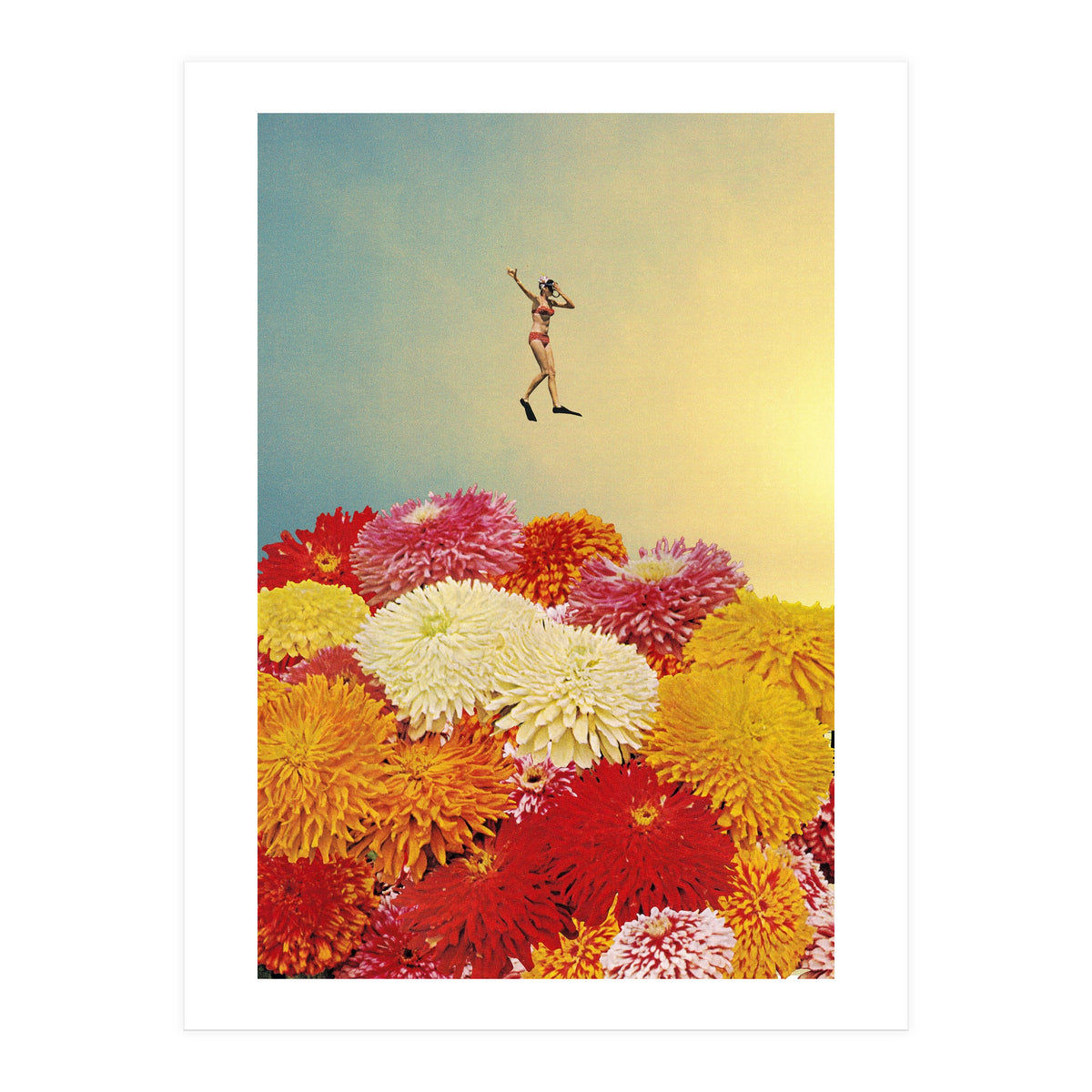 Diver (Print Only)