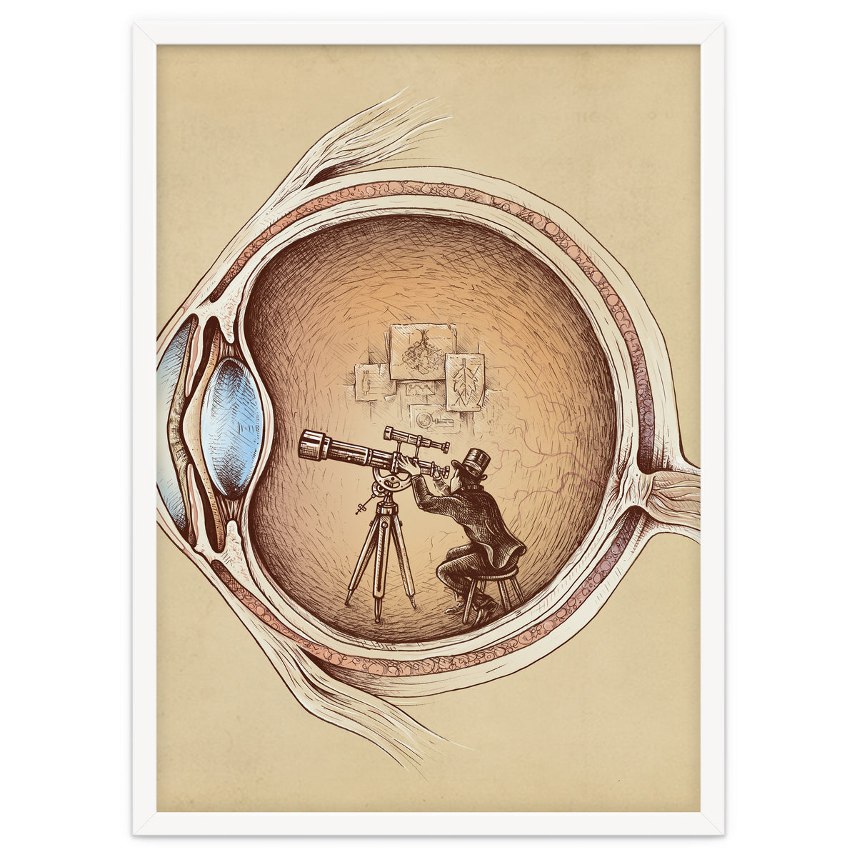 Extraordinary Observer