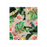 Bird Sanctuary (Print Only) thumbnail