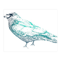 Teal Raven (Print Only)