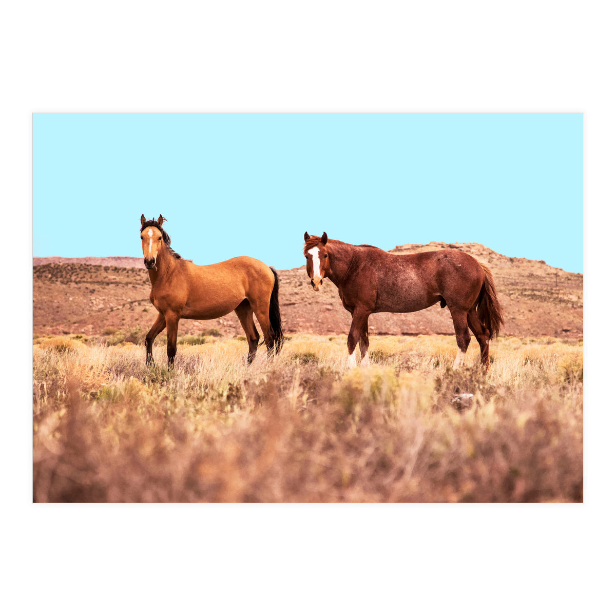 Horses #society6 #decor #buyart (Print Only)