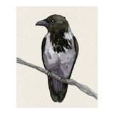 Hooded crow watercolor (Print Only) thumbnail