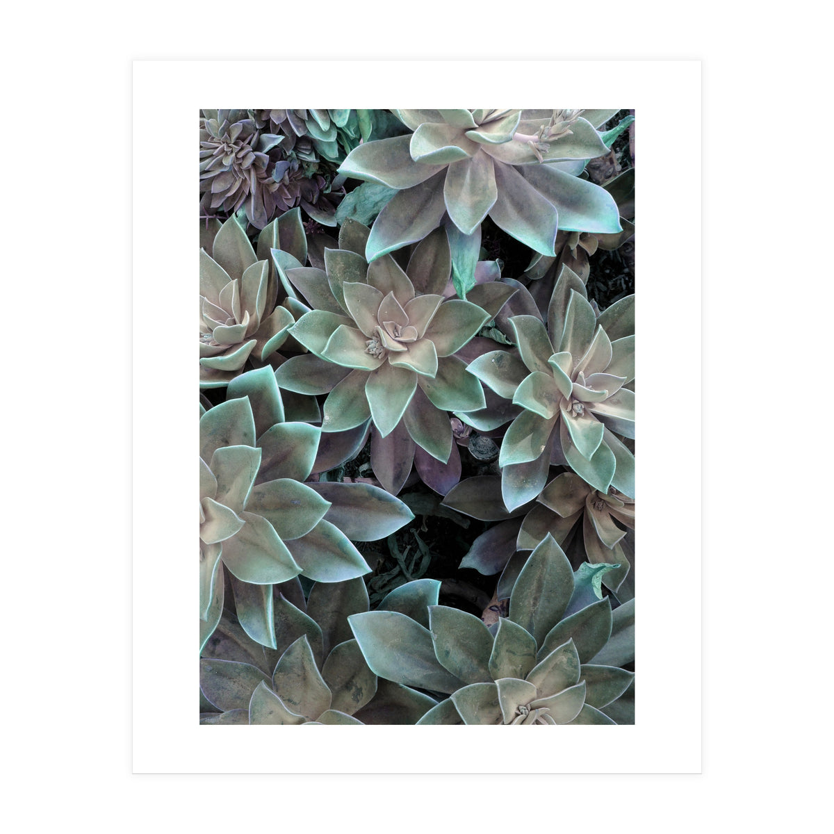 18 (Print Only)