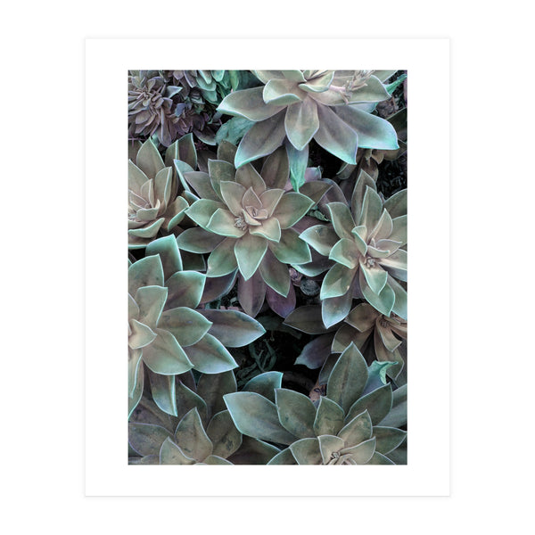 18 (Print Only)