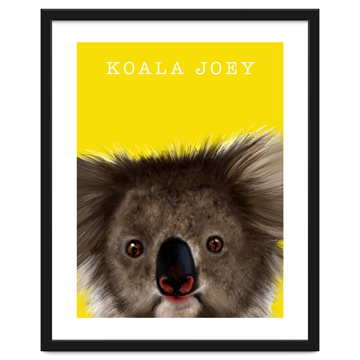Koala Joey