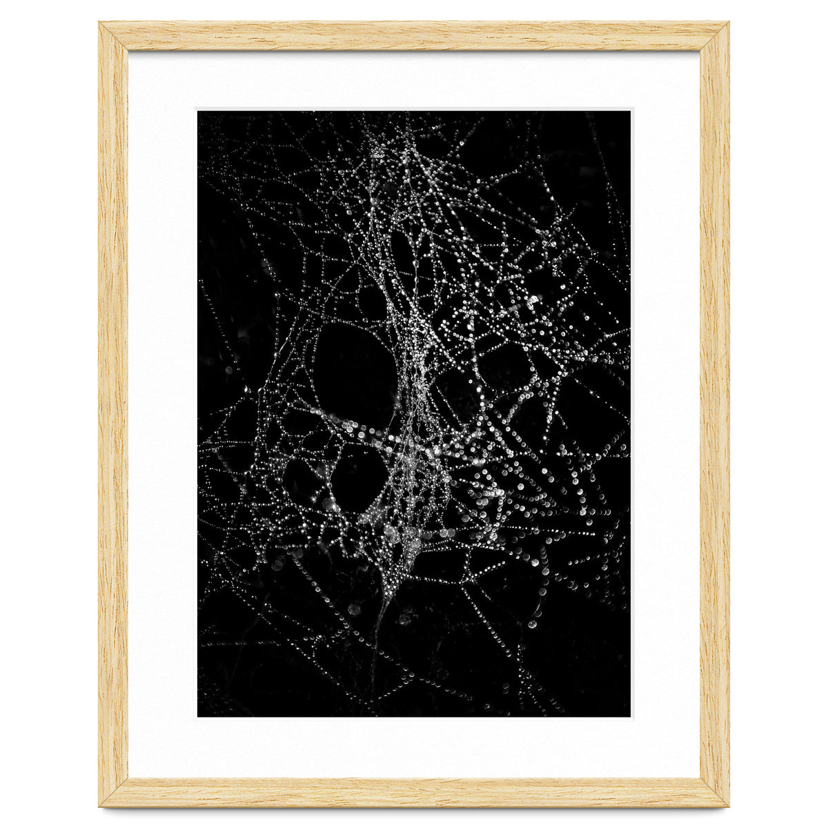 Spiderweb No 4