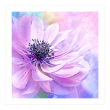 Wispy Purple Anemone (Print Only) thumbnail