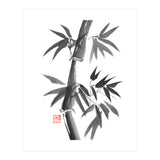 Bamboo 01 (Print Only) thumbnail