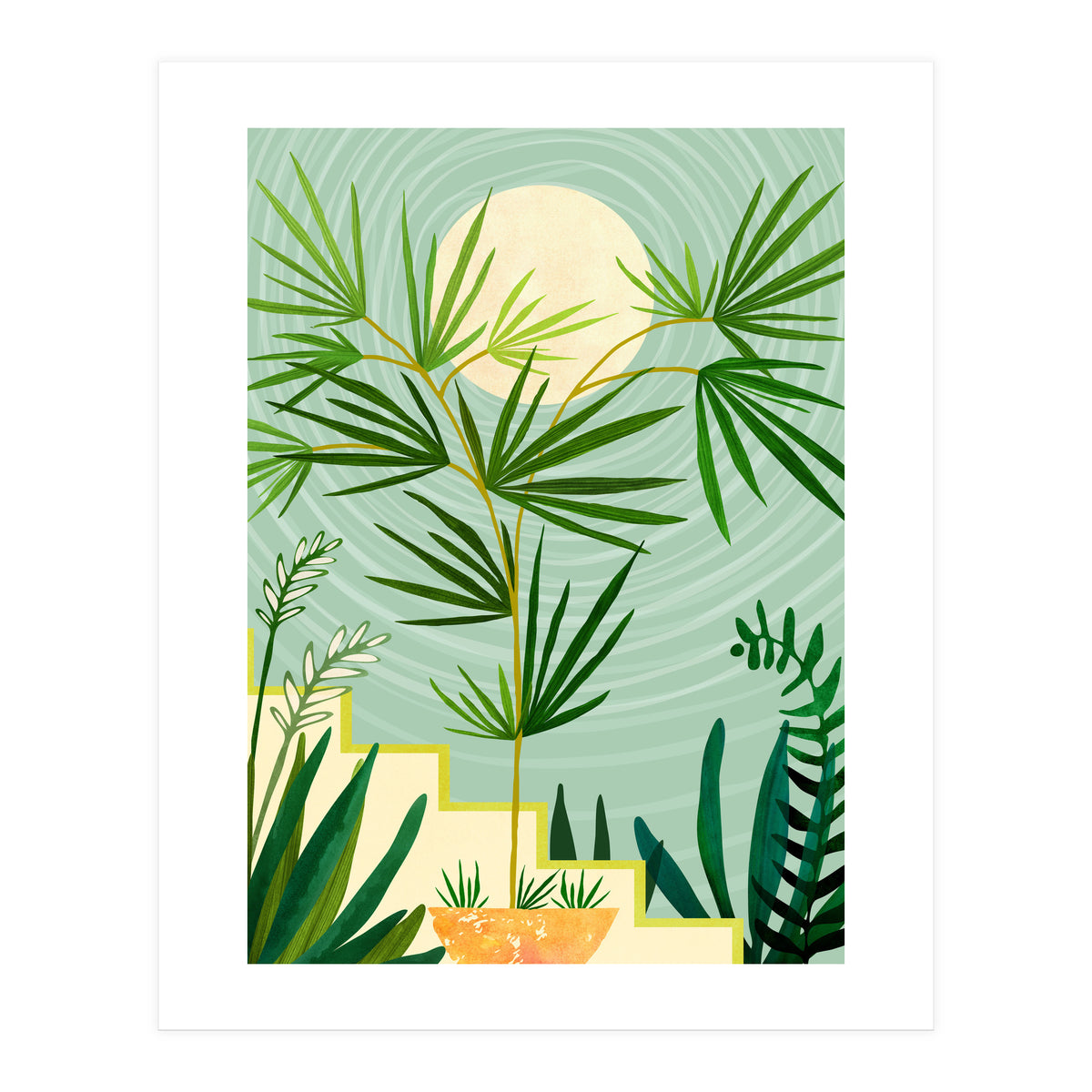 Spring Desert Night (Print Only)