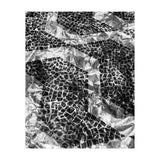 Sampa II (Print Only) thumbnail
