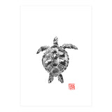 Tartoise (Print Only) thumbnail