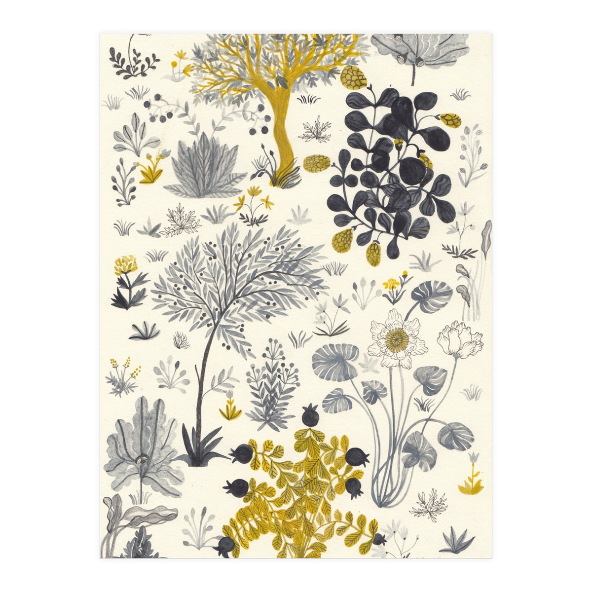 Genesis (Print Only)