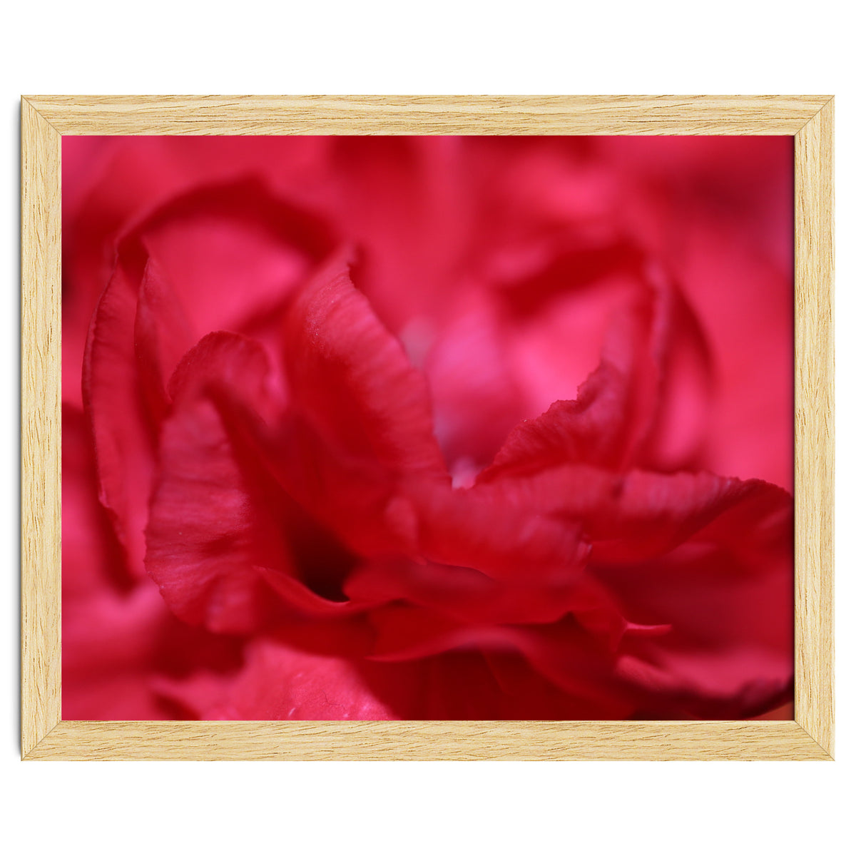 Red Peony